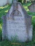 image of grave number 196901